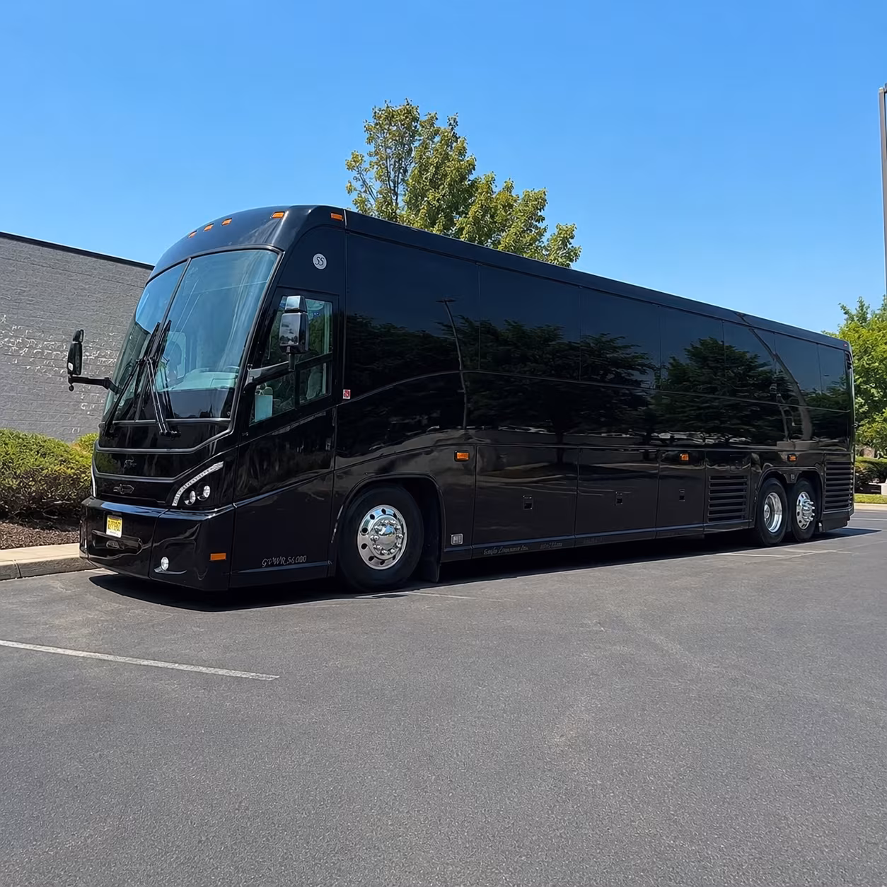 veterans group transportation between fort myers and the bay pines va medical center